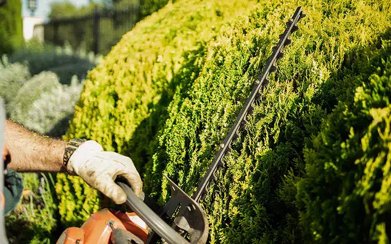 aba-green-sport-srl-edilizia-sportiva-manutenzioni-milano