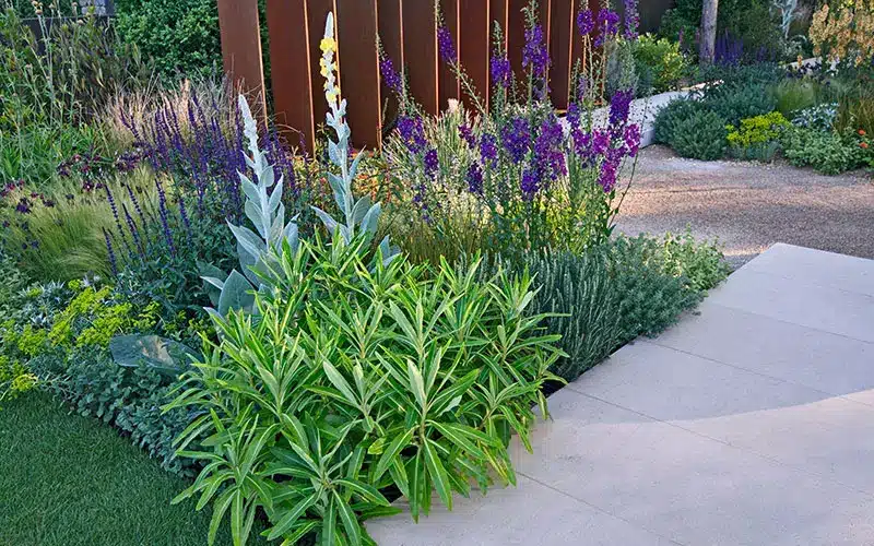 aba-green-sport-srl-milano