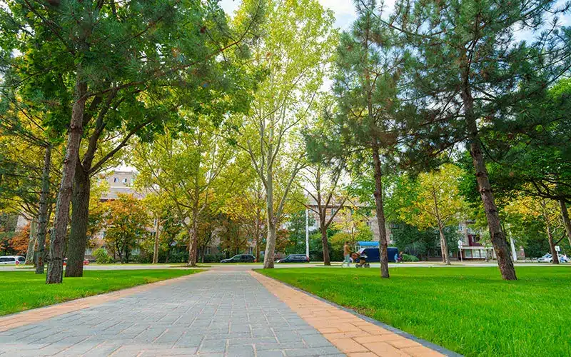 creazione-giardini-pubblici-e-privati-nuovi-monza-brianza