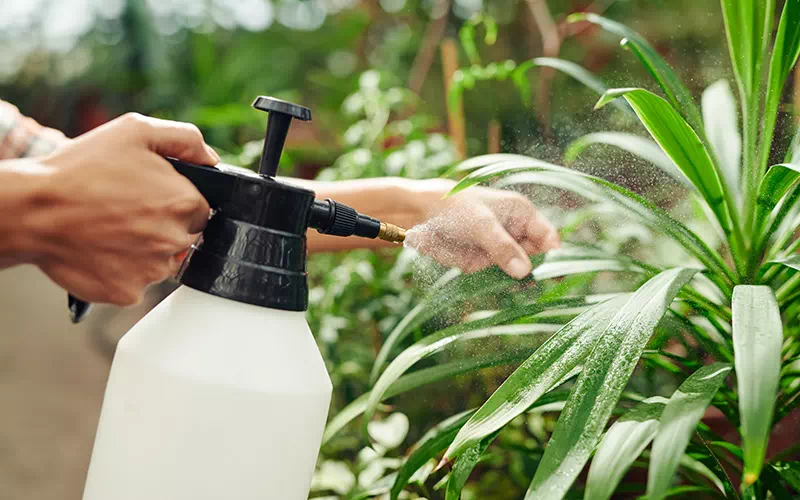 prenota-un-trattamento-antizanzare