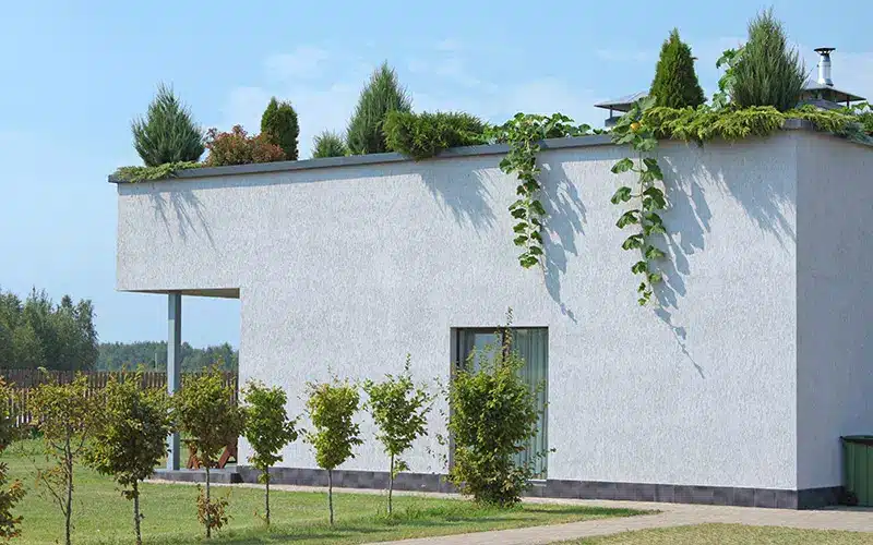 progettazione-e-realizzazione-giardini-pensili-monza-brianza
